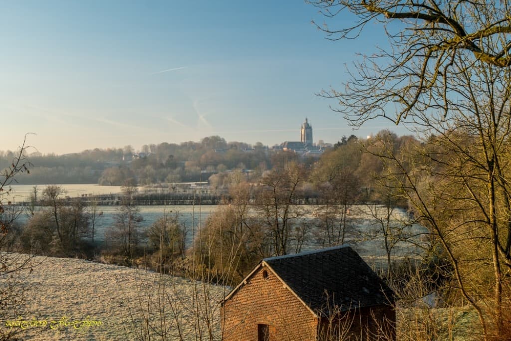 Au loin, une (la) collégiale