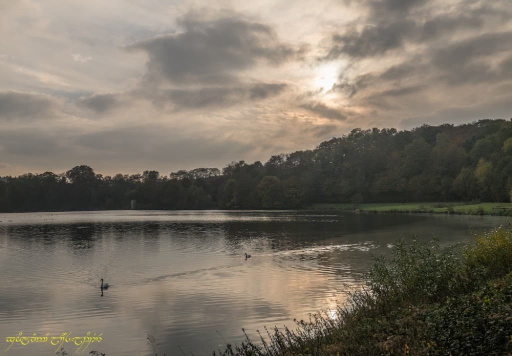 Automne canon