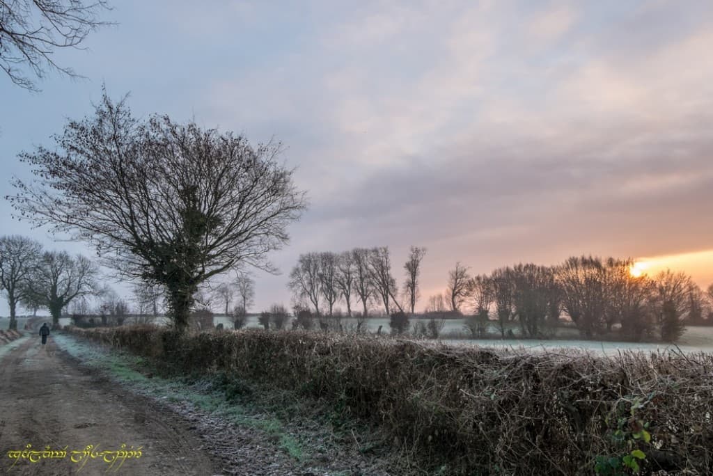 Bocage blanchi