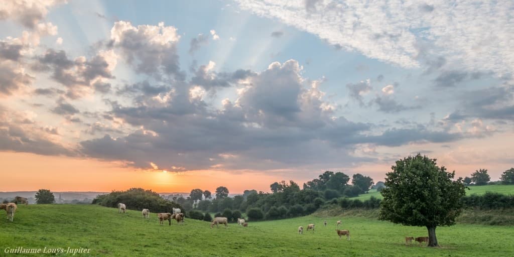 Collines et rayons