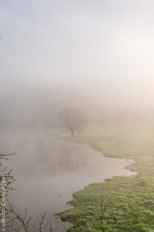 Concept brumeux