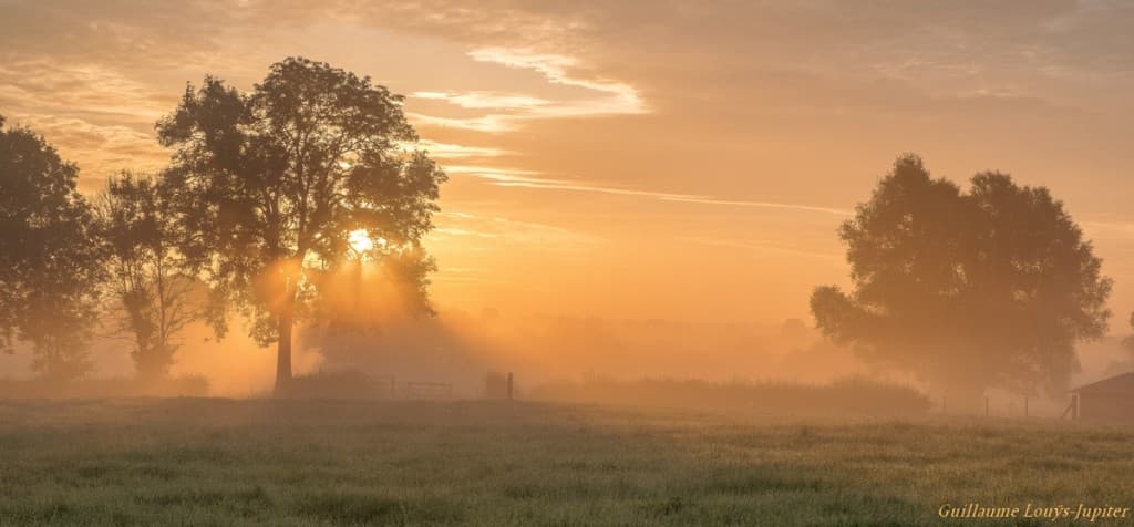 Dans la vallée