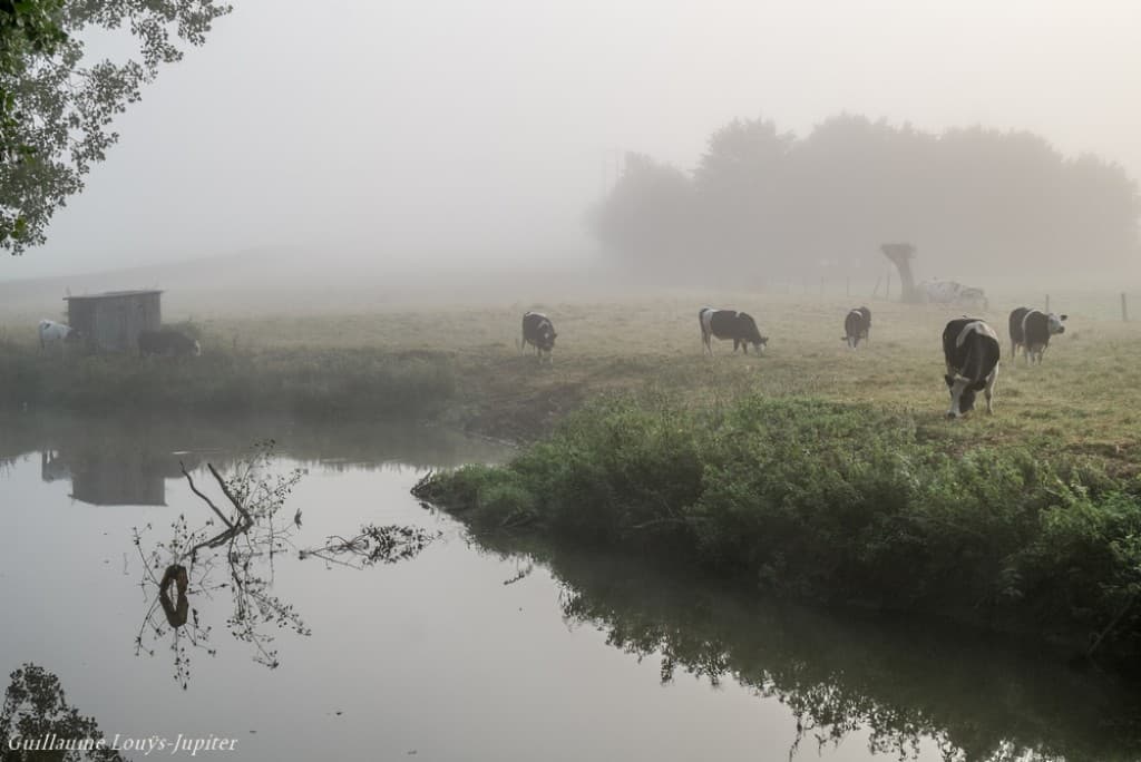 Dans la vallée