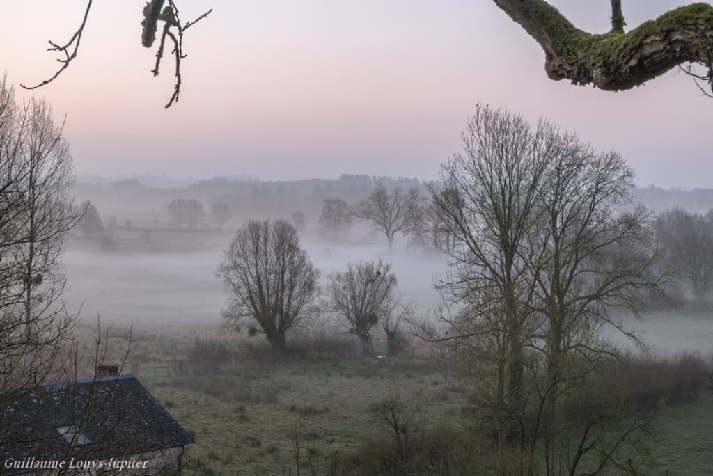 Encore de la brume