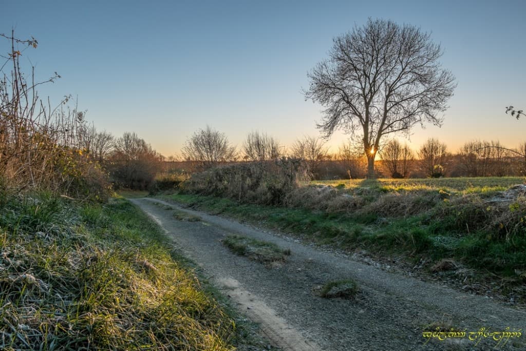 Frais bocage -IV