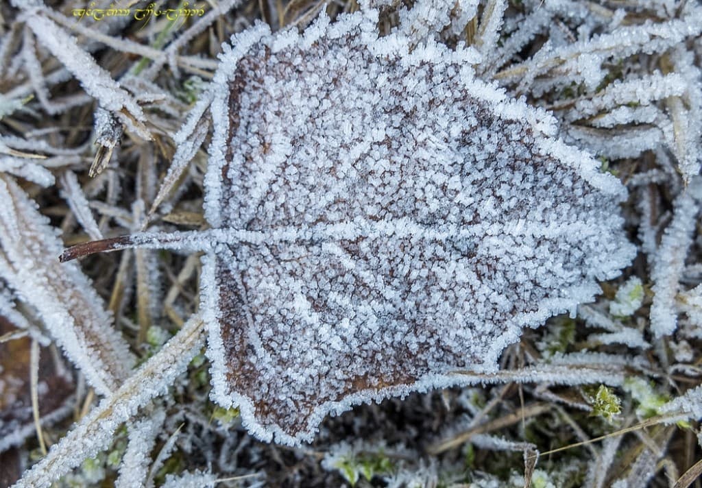 Givre -I