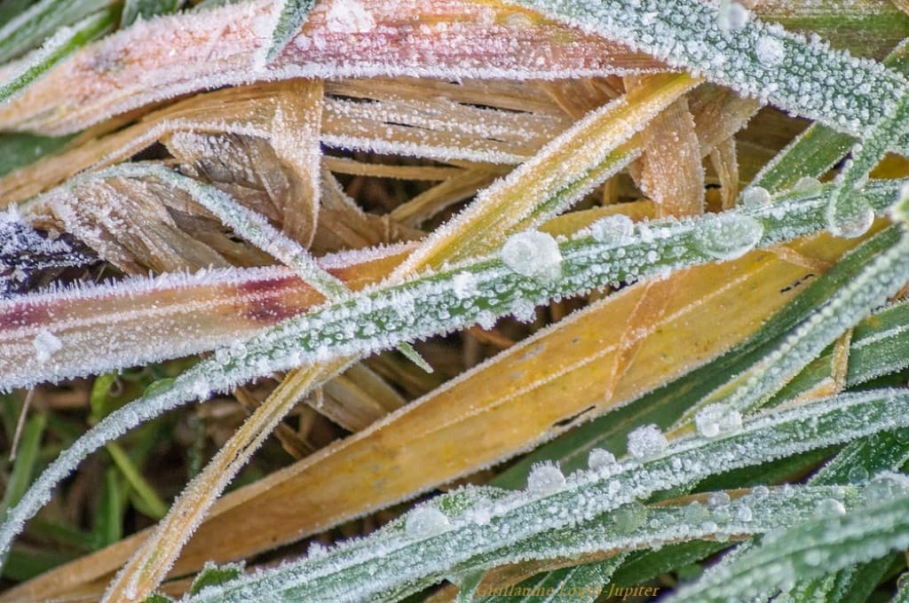 Givre