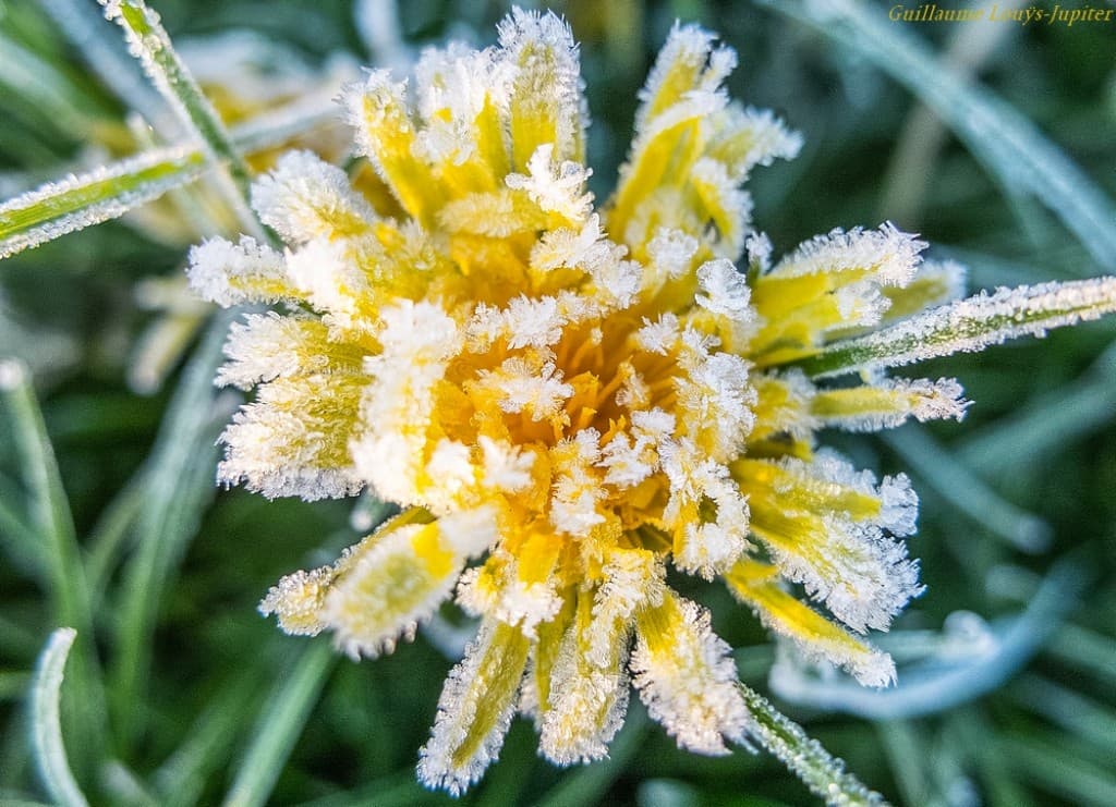 Givre