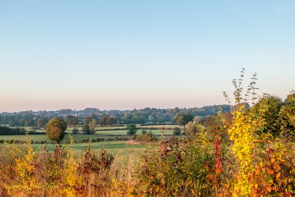 L'automne en fanfare -I
