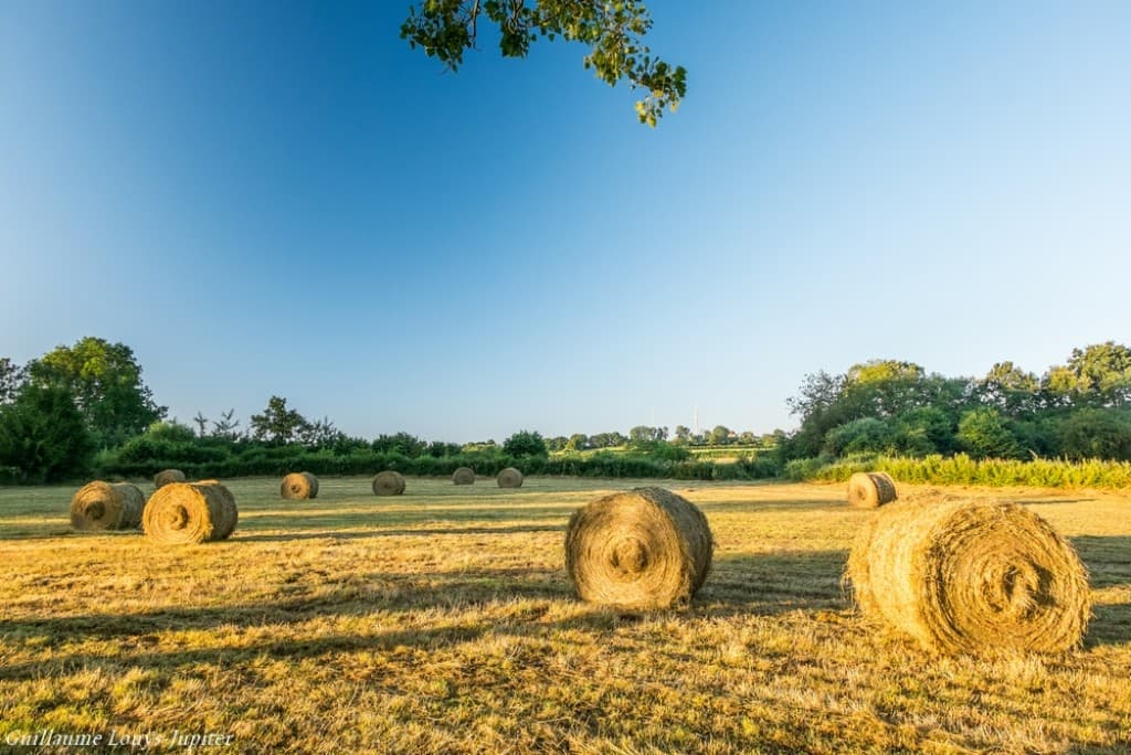 L'été à temps...