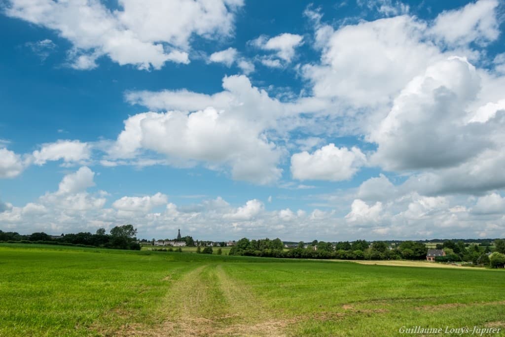 L'été de la Fagne de Solre