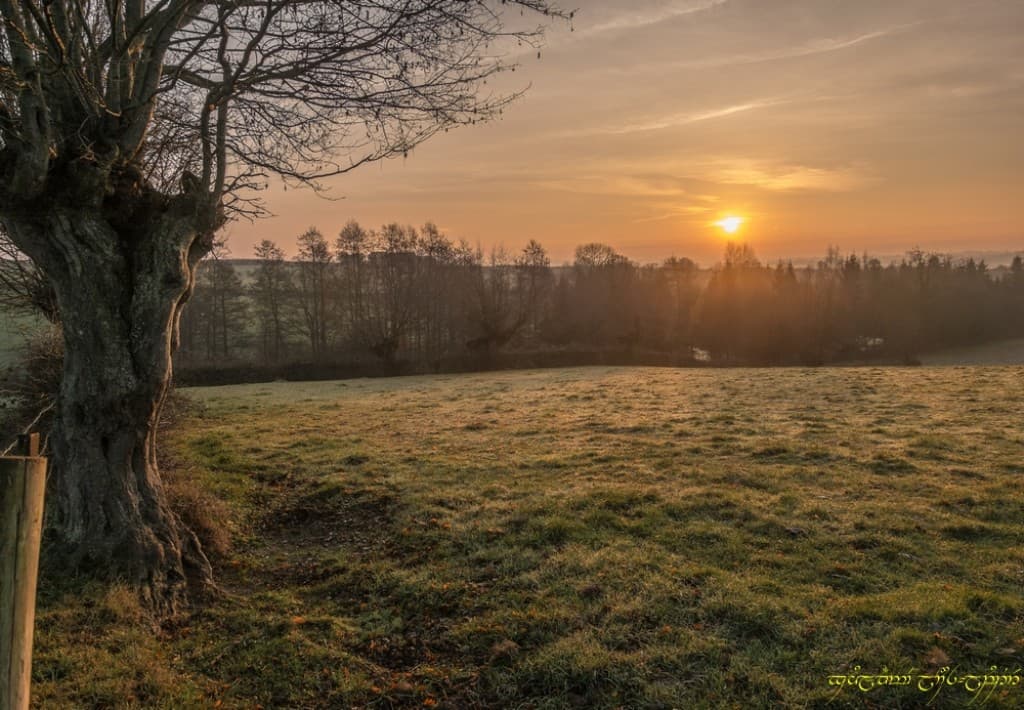 Le bocage, vu d'en haut
