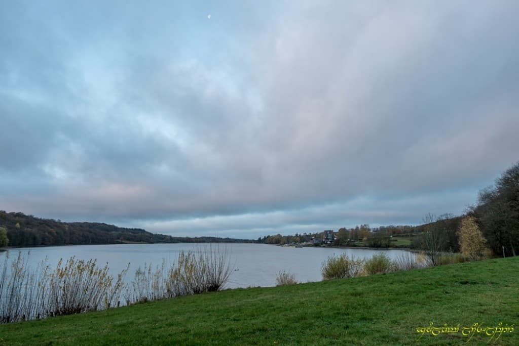 Lune égarée