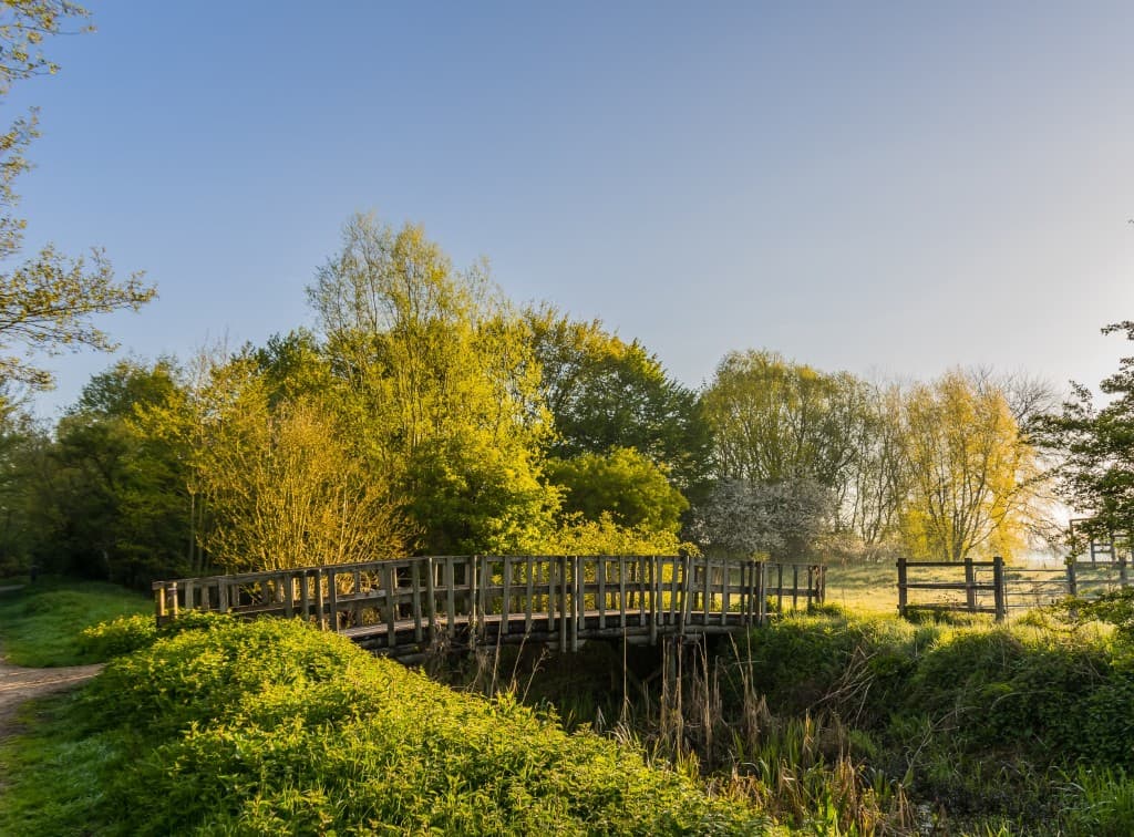 Pont de bois