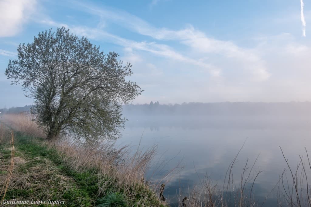 Reflet brumeux