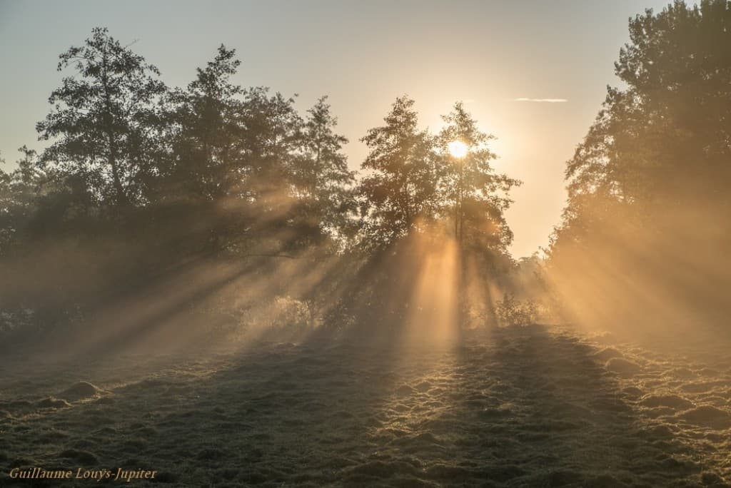 Toujours des rayons