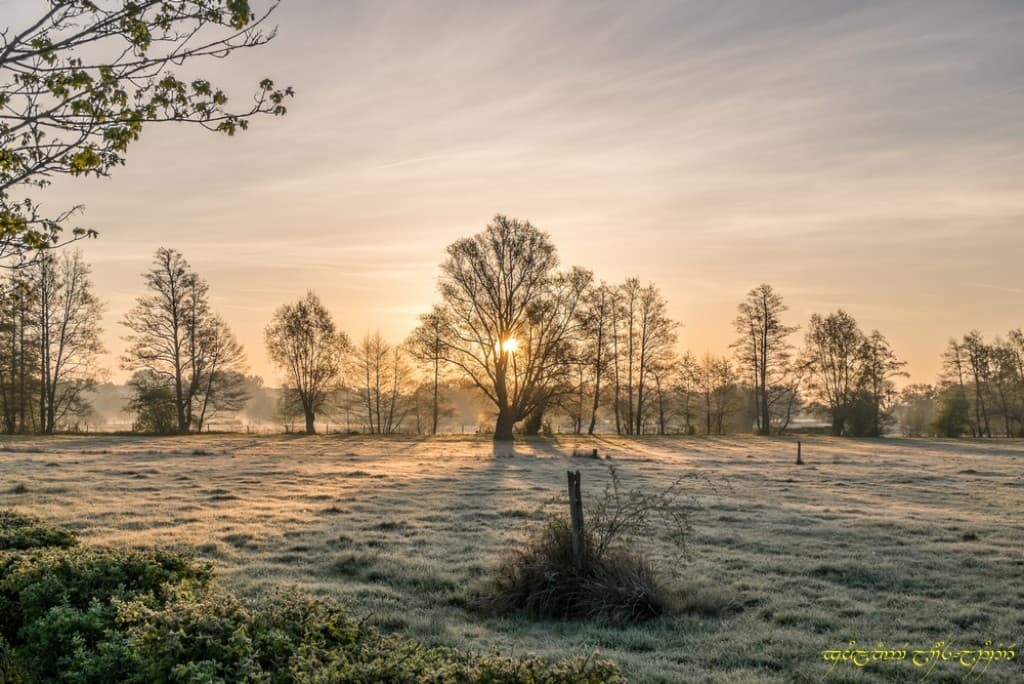 Blanc bocage