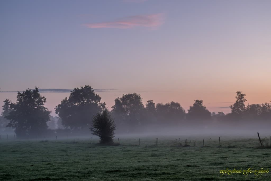 Brume dans la vallée
