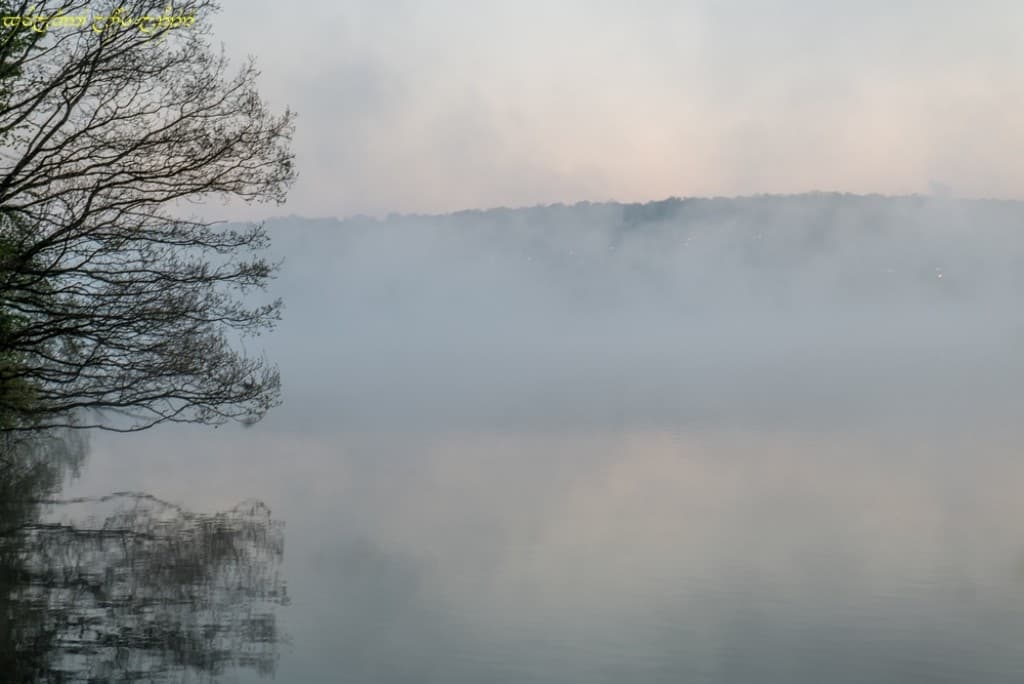 Brume épaisse sur le lac