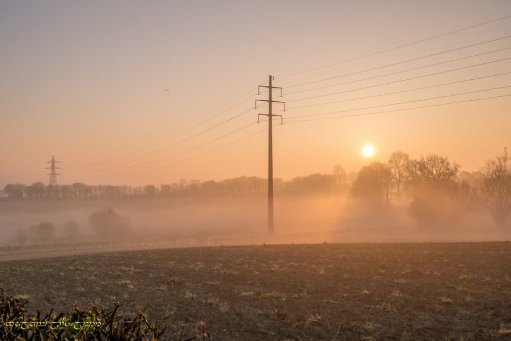 Brume et perspective