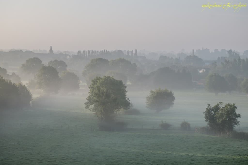Brumeux bocage VII
