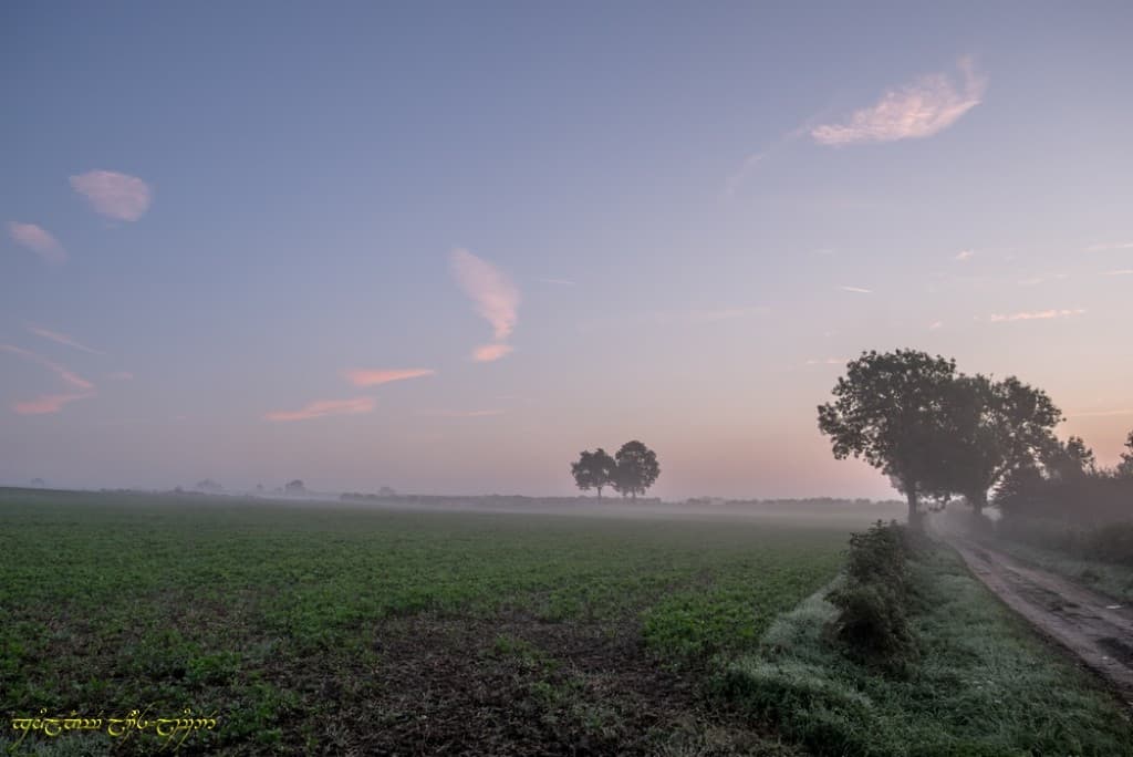 Brumeux bocage