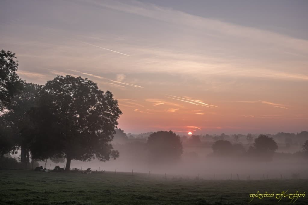 Brumeux lever