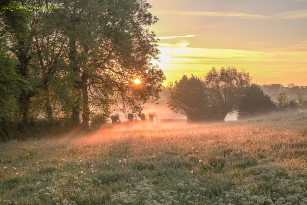 Coloration de la brume