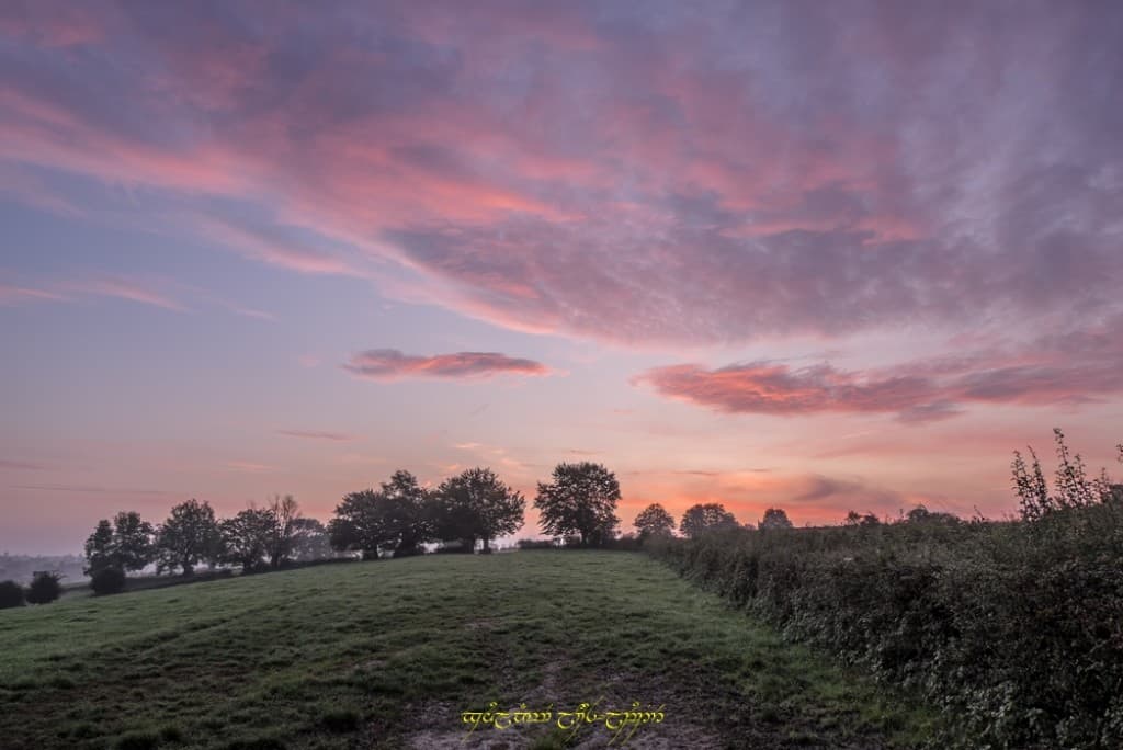 Couleur bocage
