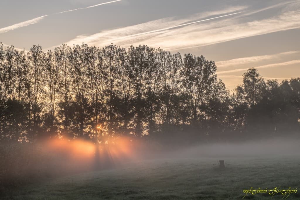 Couleurs dans la brume