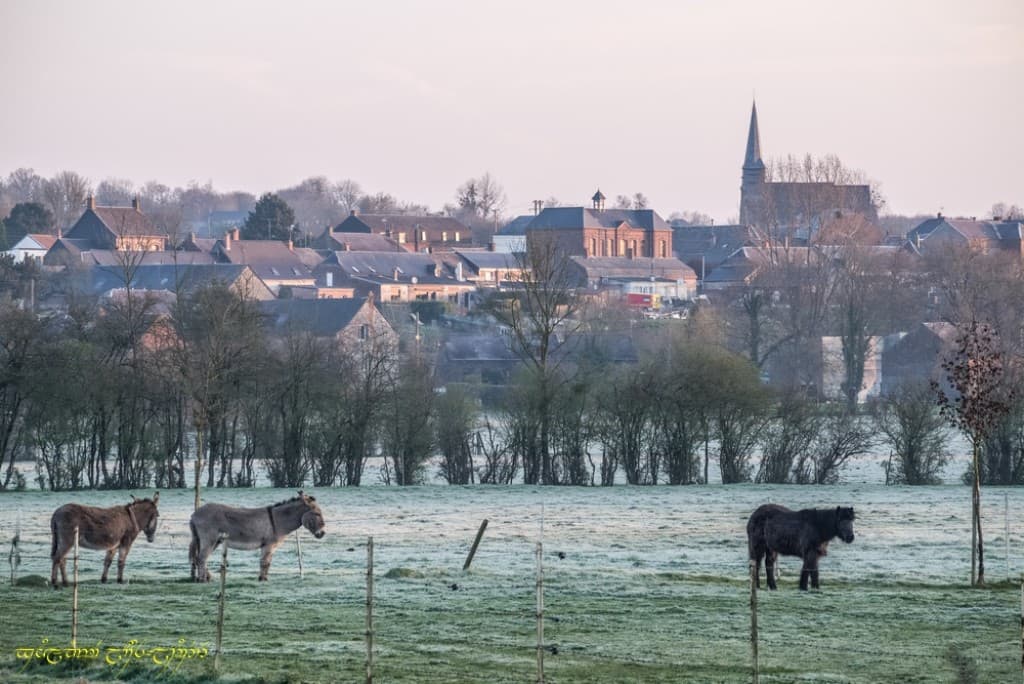 Dans la vallée (bis)