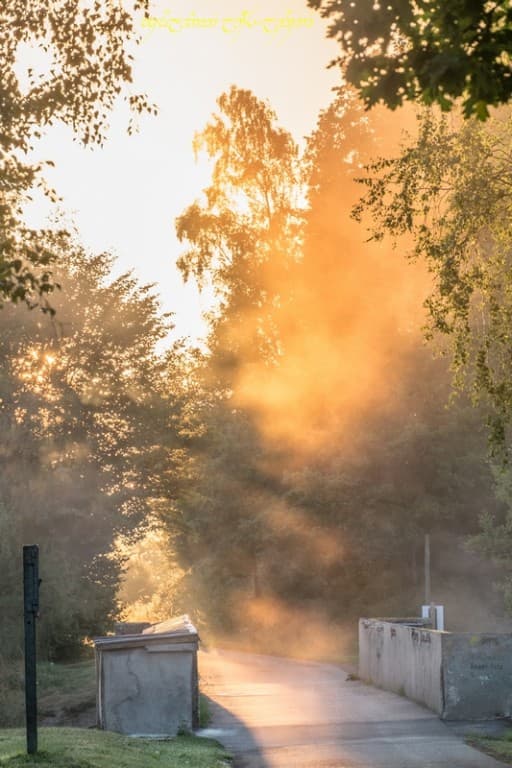 Feu dans la brume