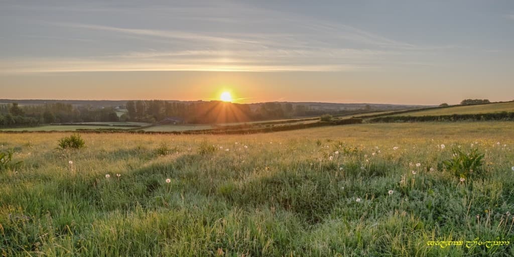 Fleurissent les prairies