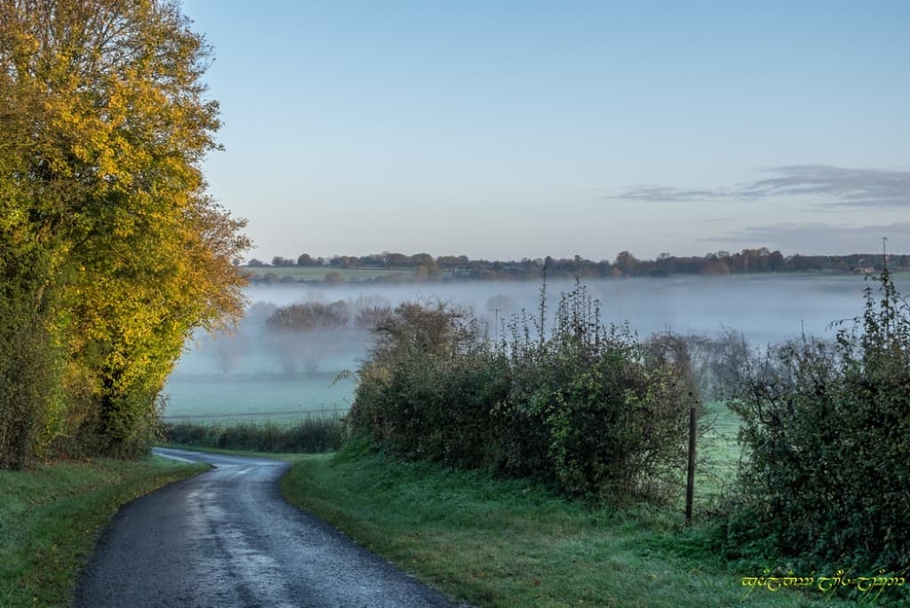 L'automne, encore