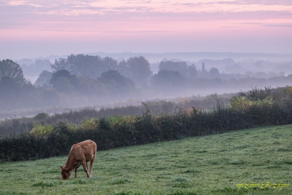 La brume, au loin