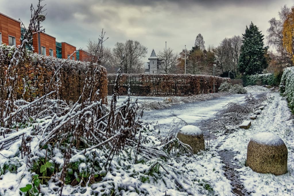 neige