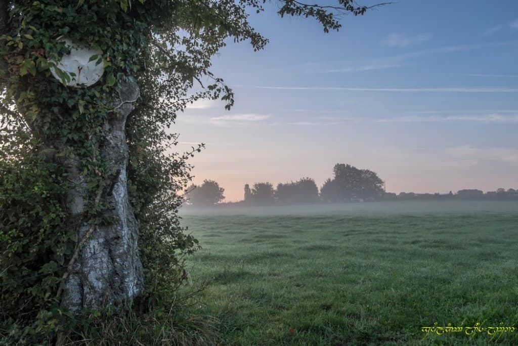 Plus près de la brume