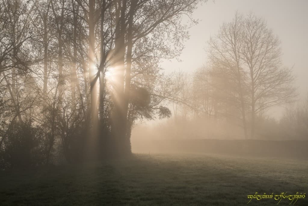 Rayons bienvenus