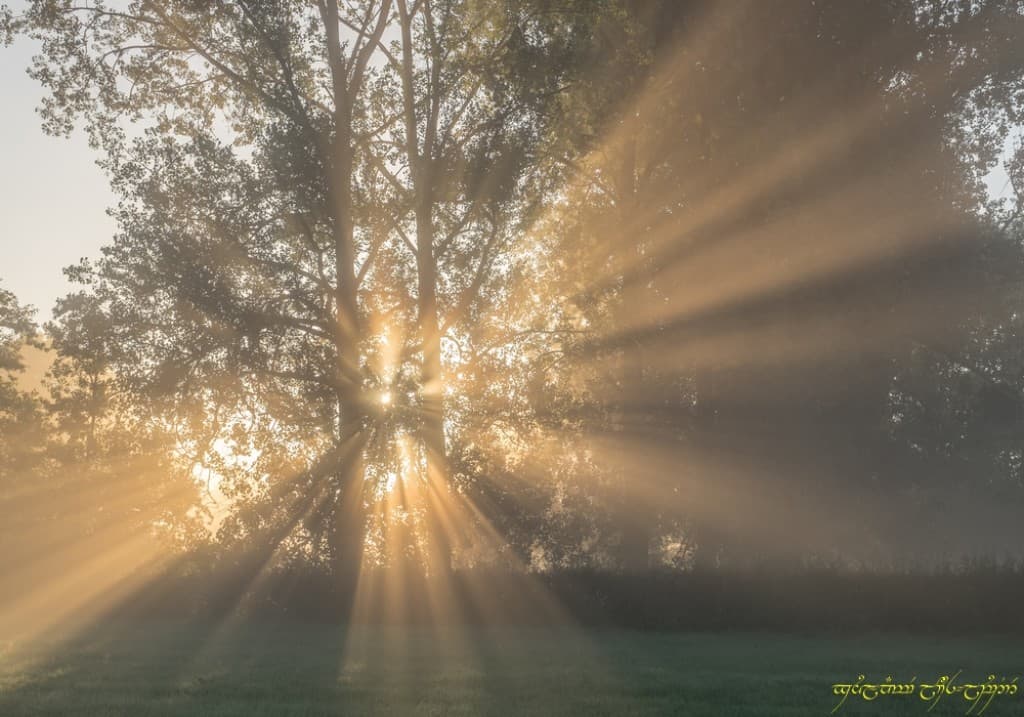 Rayons brumeux quater