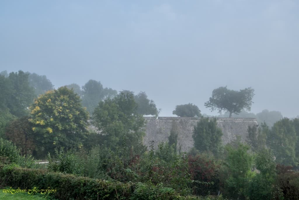 Sonate d'automne