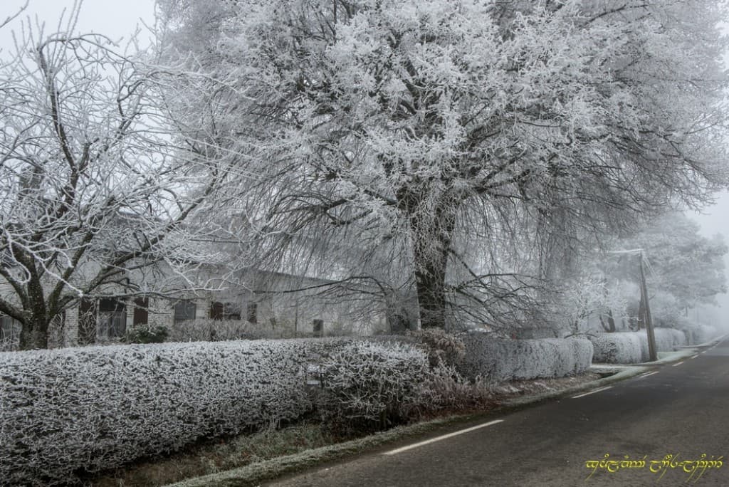Toujours du givre