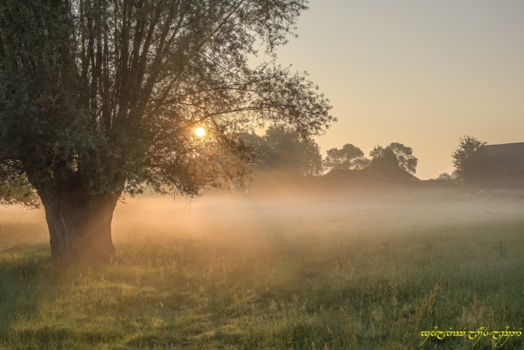 Voile de brume
