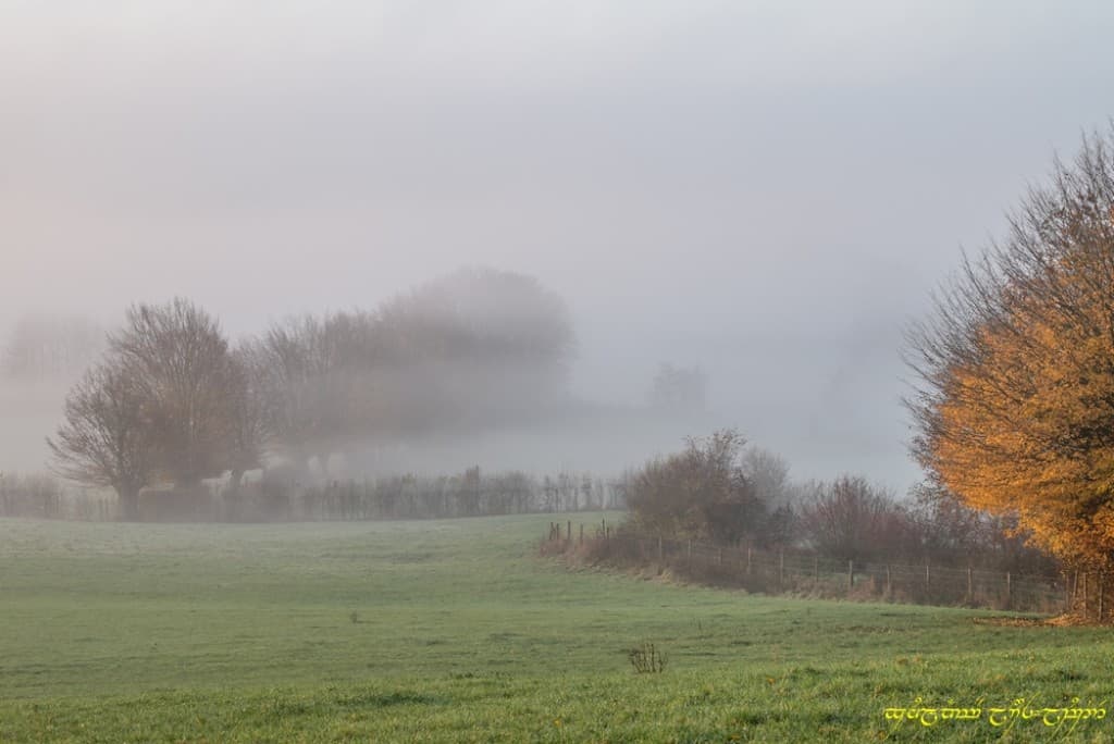 Bocage et brume
