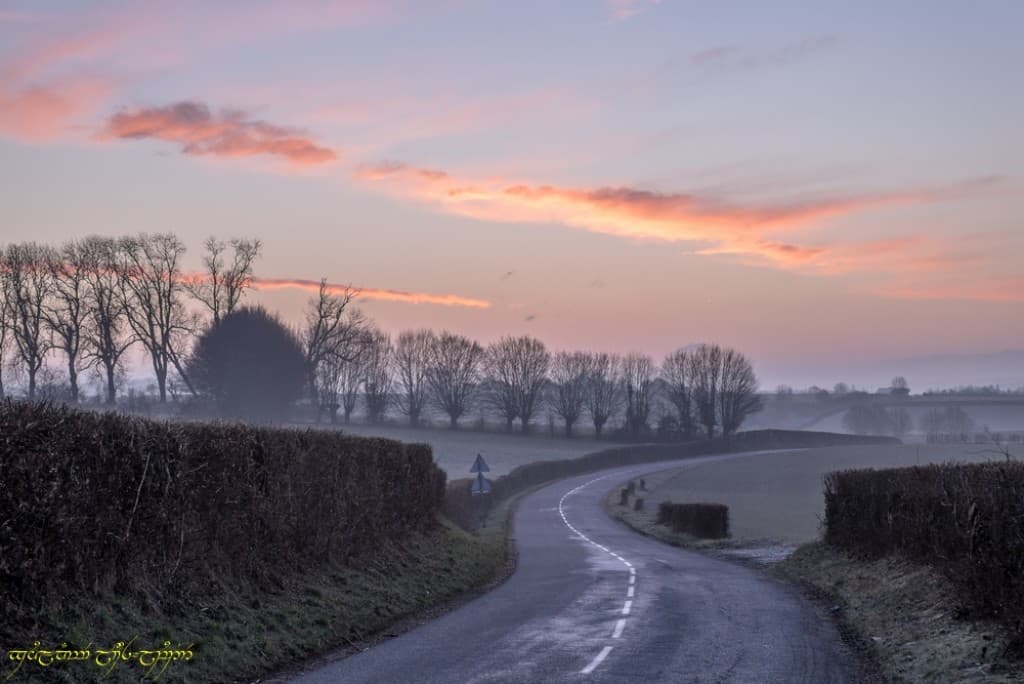 Bocage et couleurs