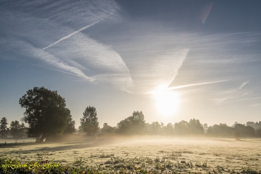 Brume givrante bis
