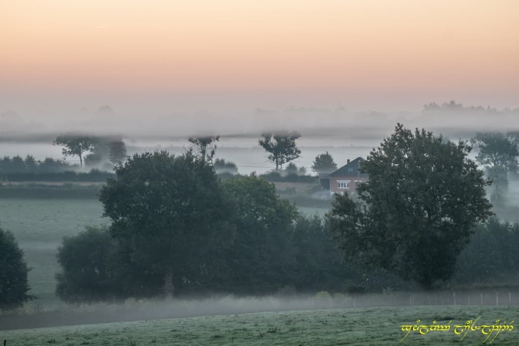 Des nappes dans la campagne
