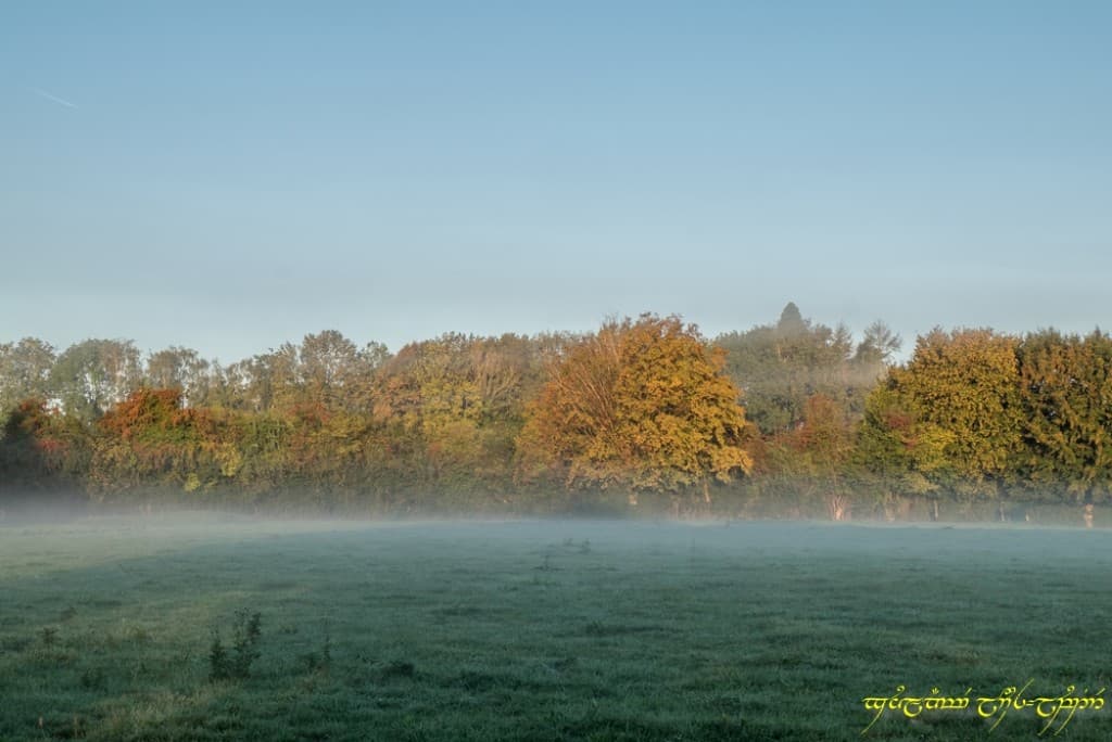 Expression d'automne