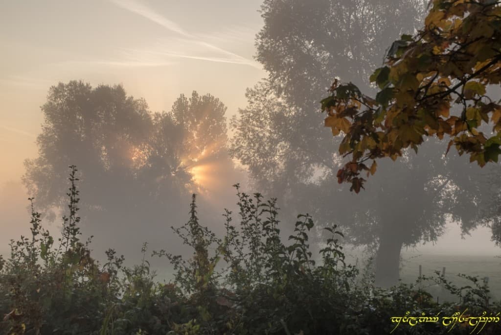 L'automne, c'est l'automne ! (4)
