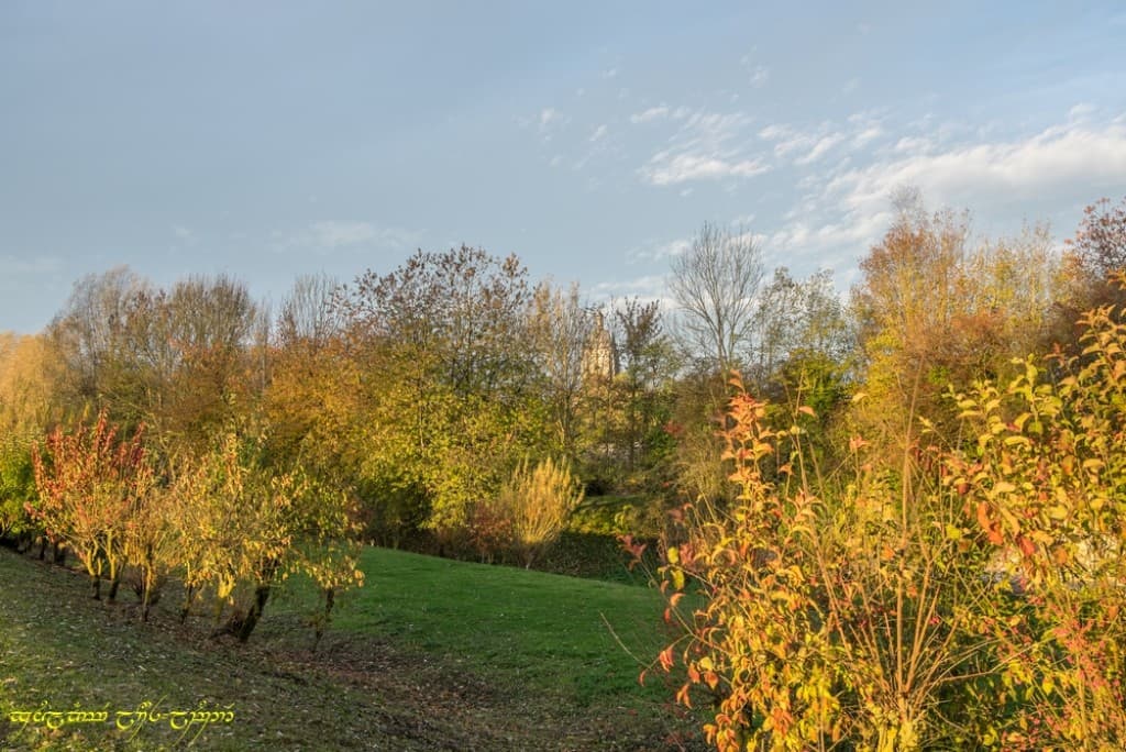 L'automne et la lumière