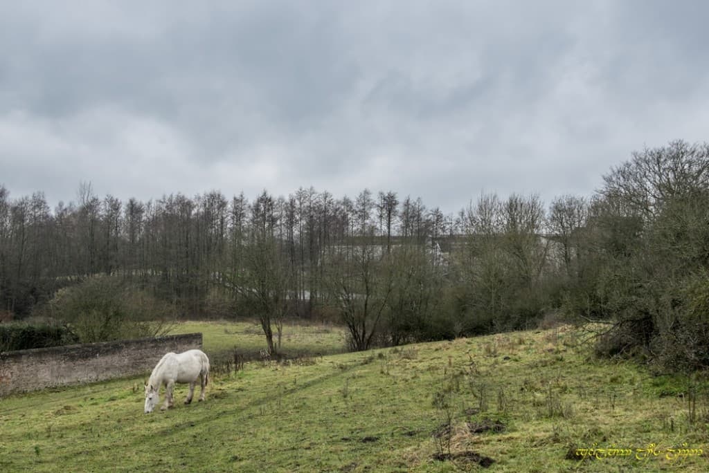 La pluie arrive